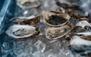 Oysters-long-tray-1.1