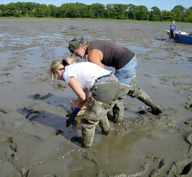 spinney creek clam digging enl